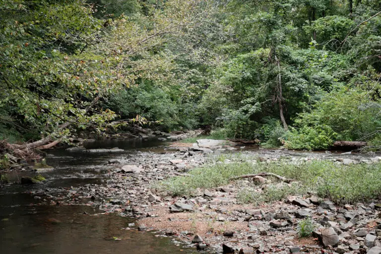Adopt-A-Stream