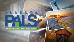 AL PALS Image Collage