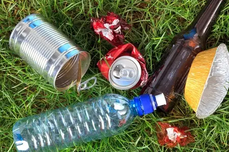 photo of litter on grass, bottles, cans and wrappers.