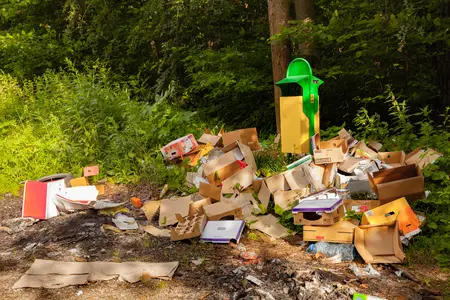 Trash overflowing in forest